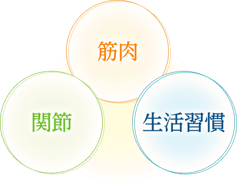 筋肉関節生活習慣